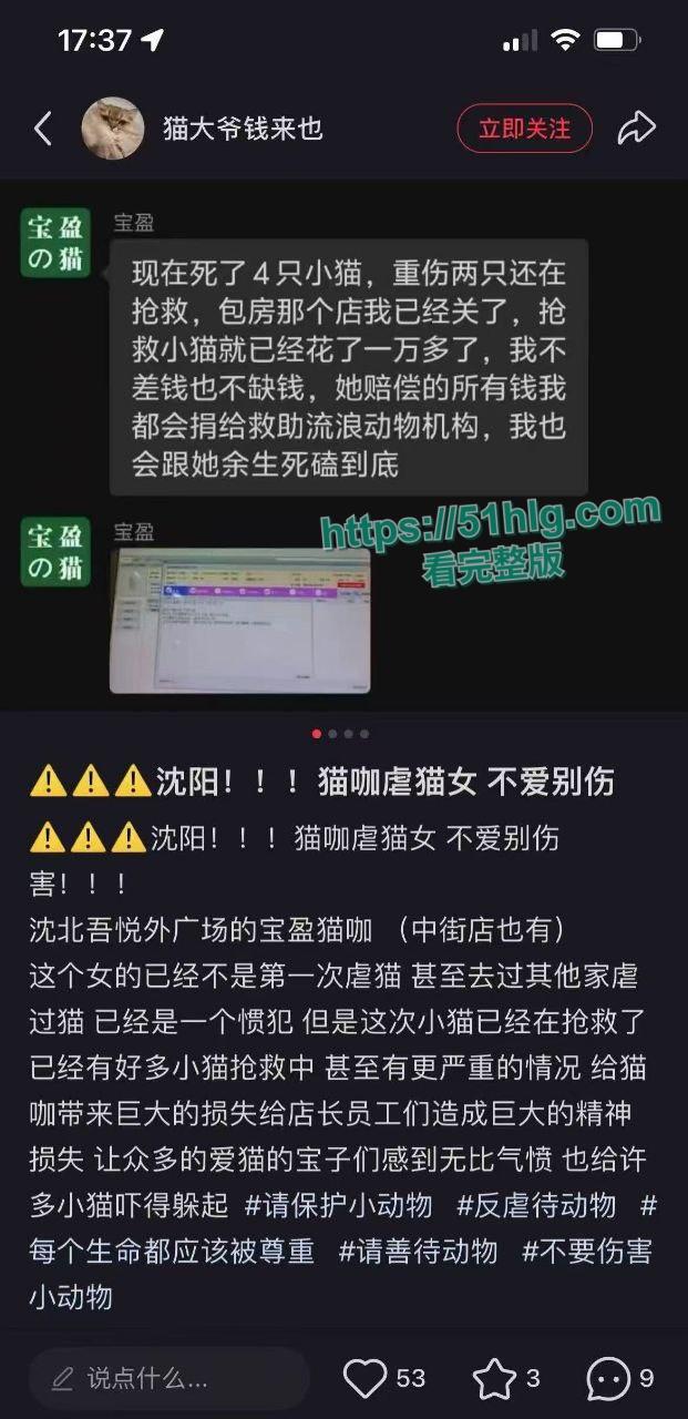 【沈阳】【张欣微】虐猫致死事件引发热议 骚女疯狂约炮感染性病被曝 到猫咖店找猫咪发泄 不雅视频全网疯传-8