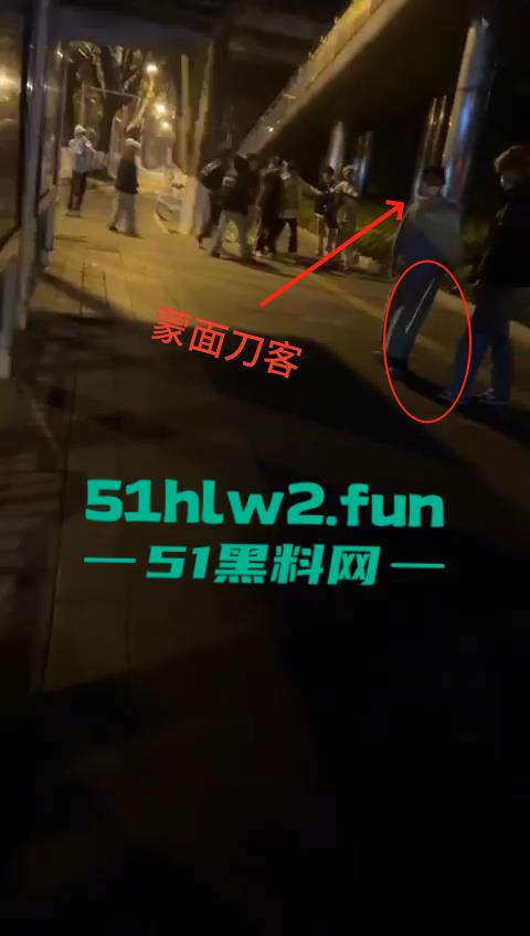 网传两群精神小伙天桥下约架,谁跳砍谁蒙面刀客低调上场,人狠话不多提起就是一刀儿。-5