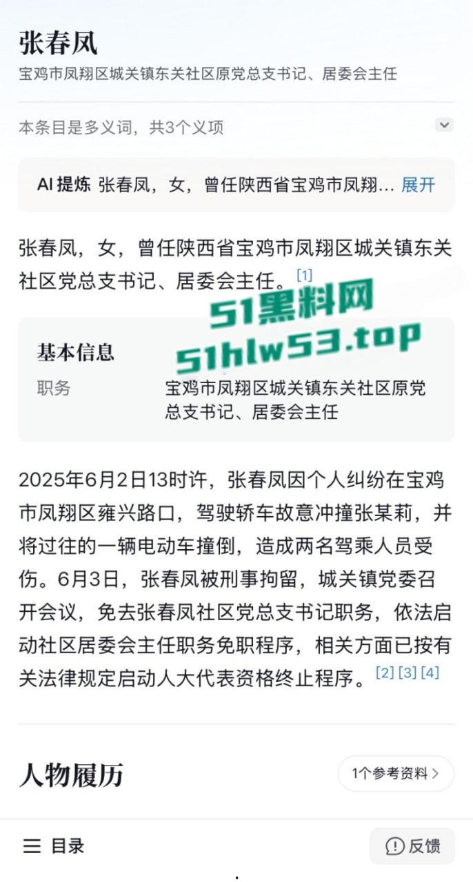 陕西宝鸡凤翔区党支部书记【张春凤】因丈夫出轨当众驾车怒撞小三,不料伤及多位无辜市民!-5