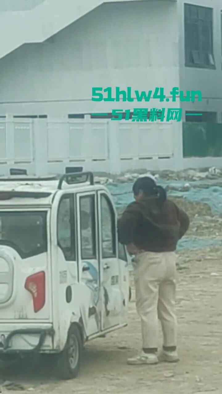 户外老头乐车震偷拍!50岁卖淫大娘拉着大爷激情野战,还得是你大爷啊这风流程度丝毫不减当年!-6