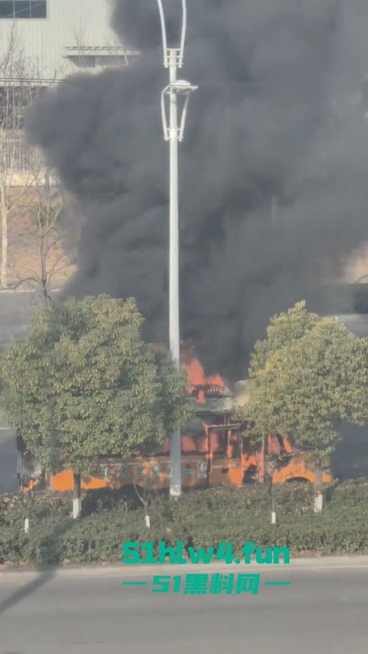 画面凄惨!安徽校车烧成骨架,2女孩互抱烧死幼儿园仍正常上课!目击者:起火后司机还继续开!-8
