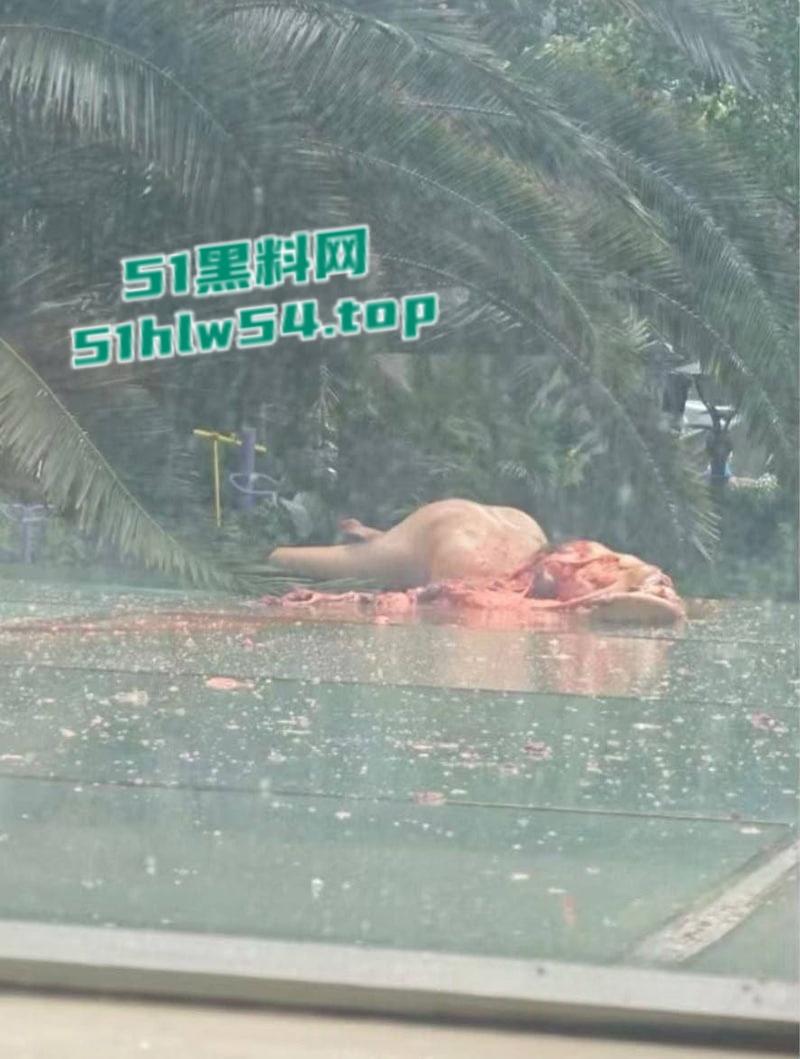 抖音热搜成都大慈寺路瓜,男子51楼坠亡碰撞到平台导致肢体离断,网传竟是杀人抛尸!-3