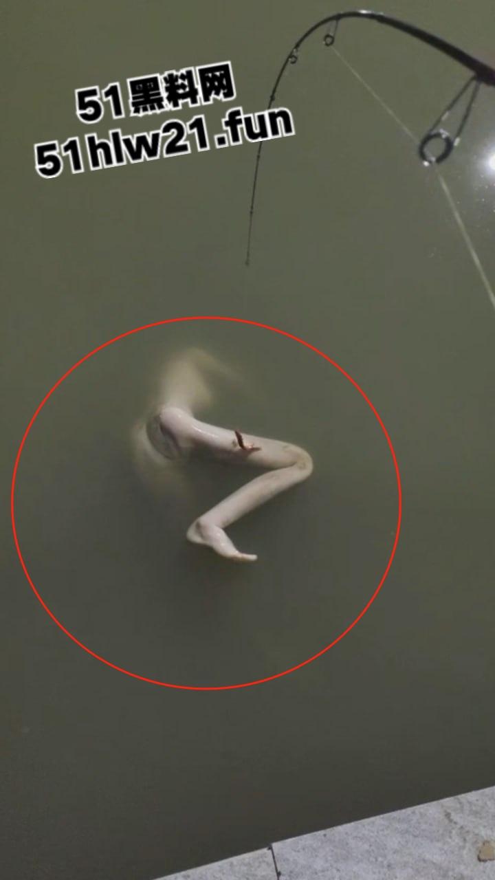 钓鱼佬夜钓惊现尸体,大长腿女尸钓鱼佬也太神奇,除了鱼钓不到以外什么都能钓到!-4