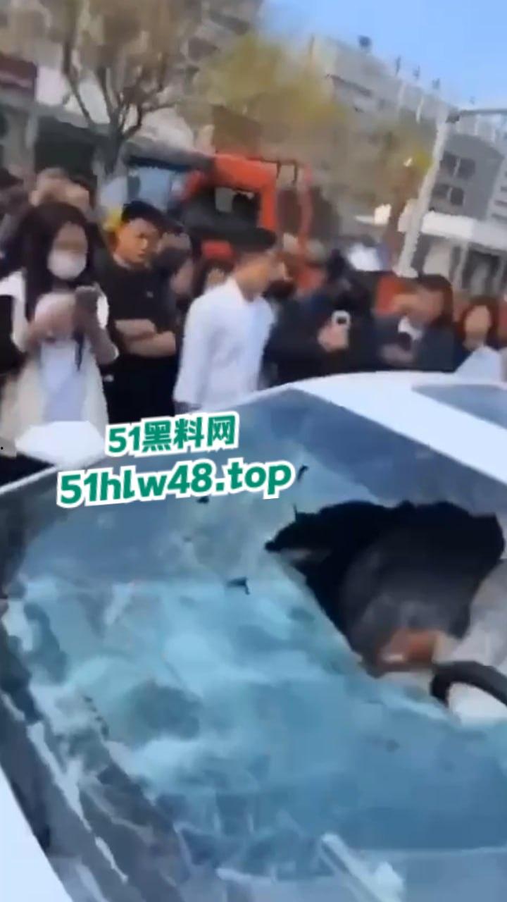 河北邢台最蠢原配,带姐妹家人砸车抓小三被吓的车里不敢出来,结果被玻璃划伤原配遭刑拘。-3