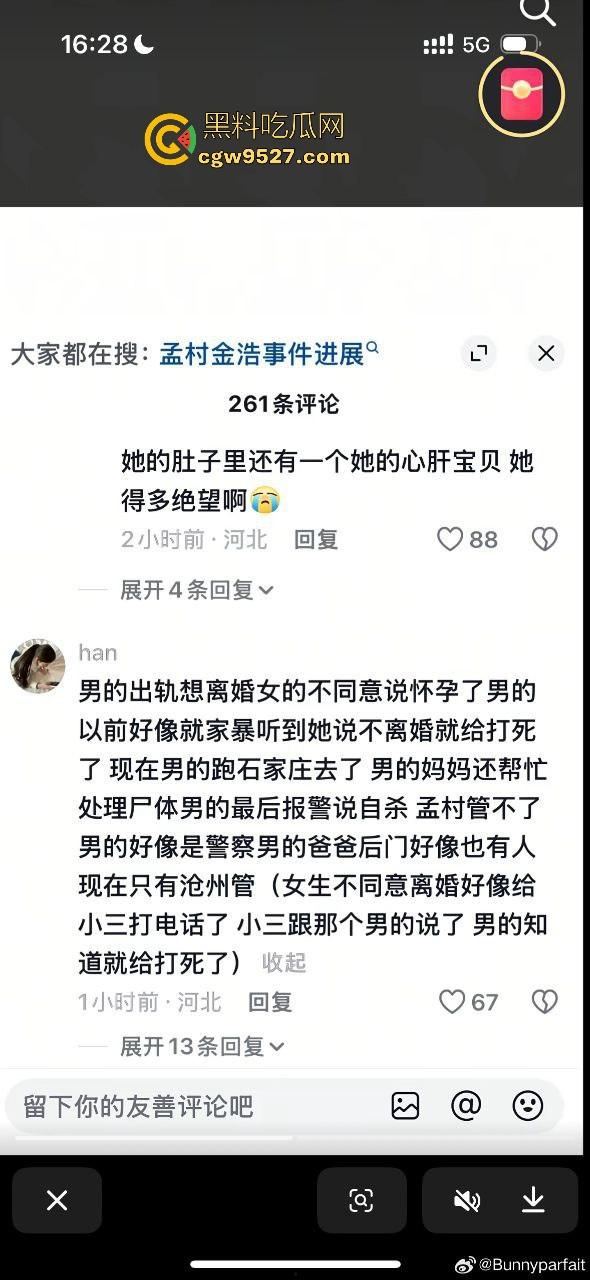 婚内出轨不稀奇,河北检察官【金昊】出轨还家暴杀妻?怀孕三月妻子被活活打死,一尸两命成了出轨的投名状?-9