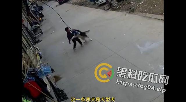 恶犬咬人！遛狗不牵绳 等于狗遛狗  狗首先是畜生 其次才是人类的朋友-4
