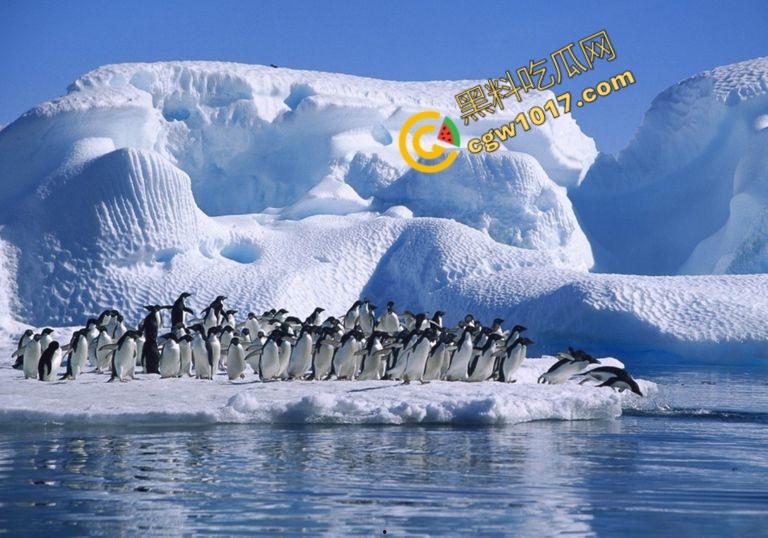 南极科考内部视频劲爆流出：30种未知致命生物！从“死亡之球”到“僵尸蠕虫”，史前病毒横行，足以令人毛骨悚然！-3