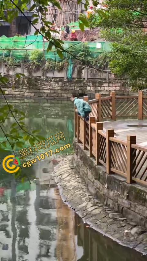 重庆湖边惊魂：绝望女子跳湖，勇敢路人生死救美，惊险拯救，揪心一刻，心跳加速，惊险刺激！-2