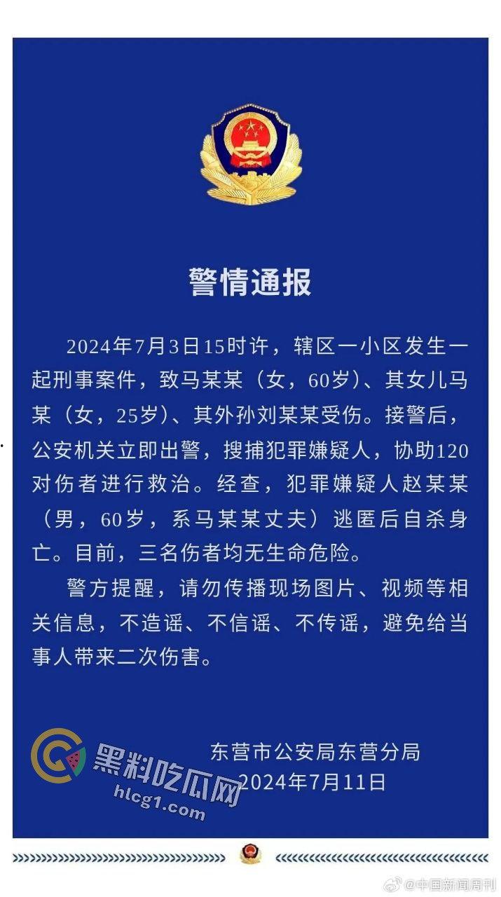 山东东营丈夫持斧砍伤妻子及两孩子后畏罪自杀,7月11日通报引发热议-9