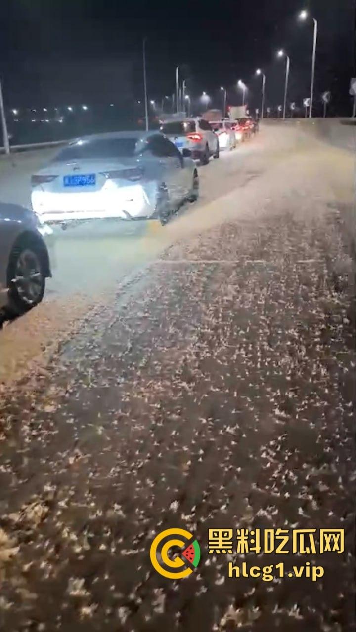 密集恐惧症慎入！湖南常德汉寿沅水大桥 飞虫像下雪一样“至少上10亿只‘’-4