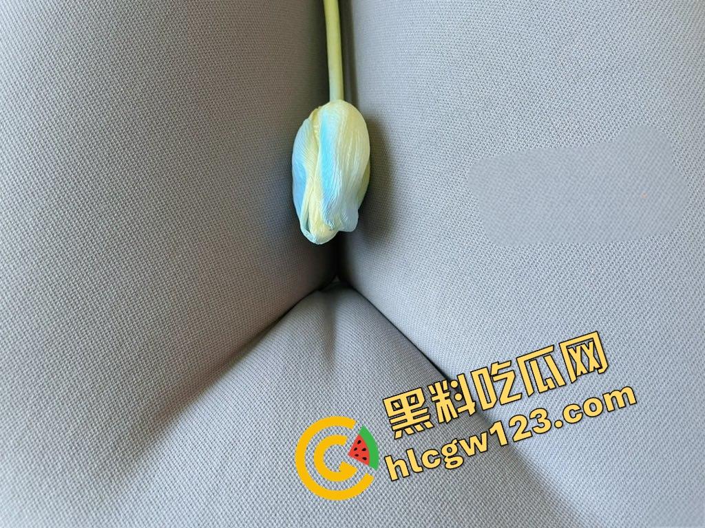 苏州白富美『桐柳』人前高贵冷艳，人后淫荡抓鸡狂魔！最爱不割的原生态，舔着舔着就主动骑上来了！-2