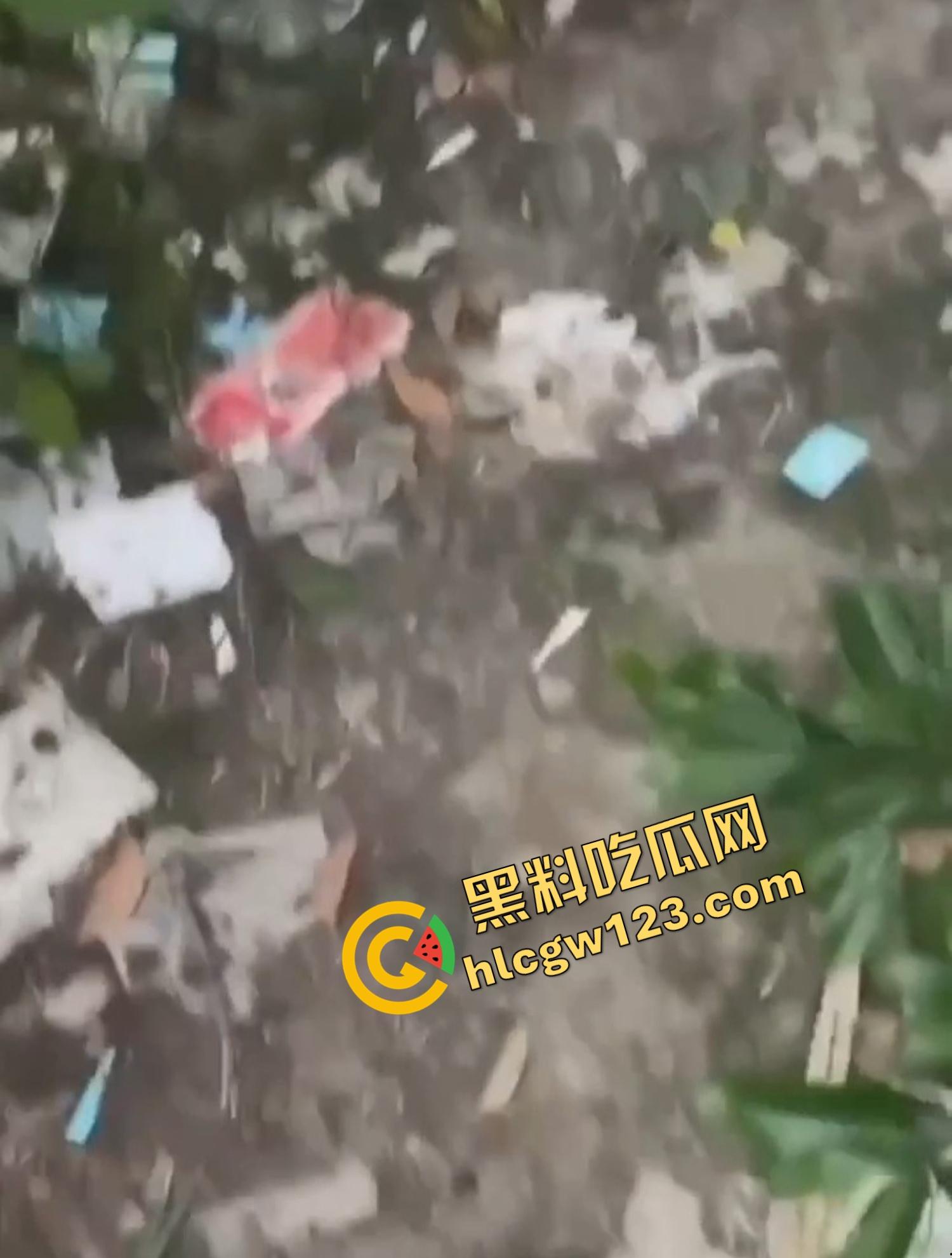 成都套套乐园，公园秒变野战广场，满地套套卫生纸，三步一个套五步一滩汁，精子浇灌绿化带！-6