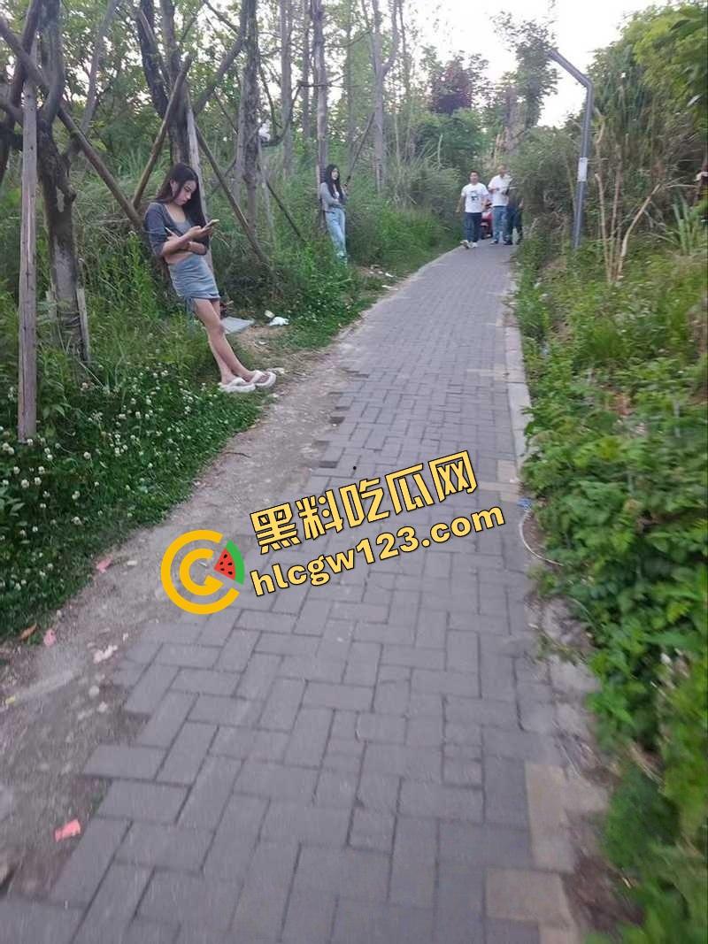 成都套套乐园，公园秒变野战广场，满地套套卫生纸，三步一个套五步一滩汁，精子浇灌绿化带！-11