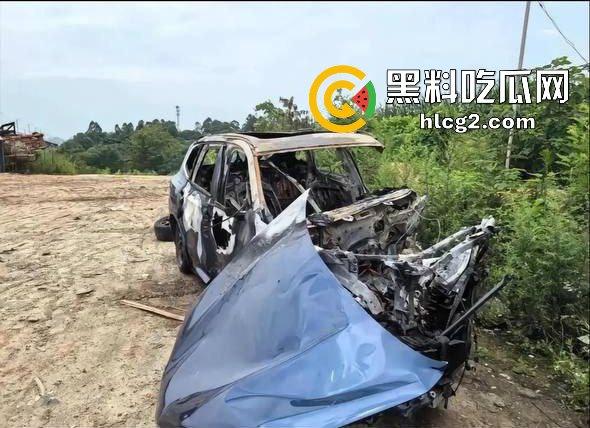 四川成都宝马新能源电车自燃事件！男子超速撞上安全岛 车毁人亡 瞬间火葬当场！-13