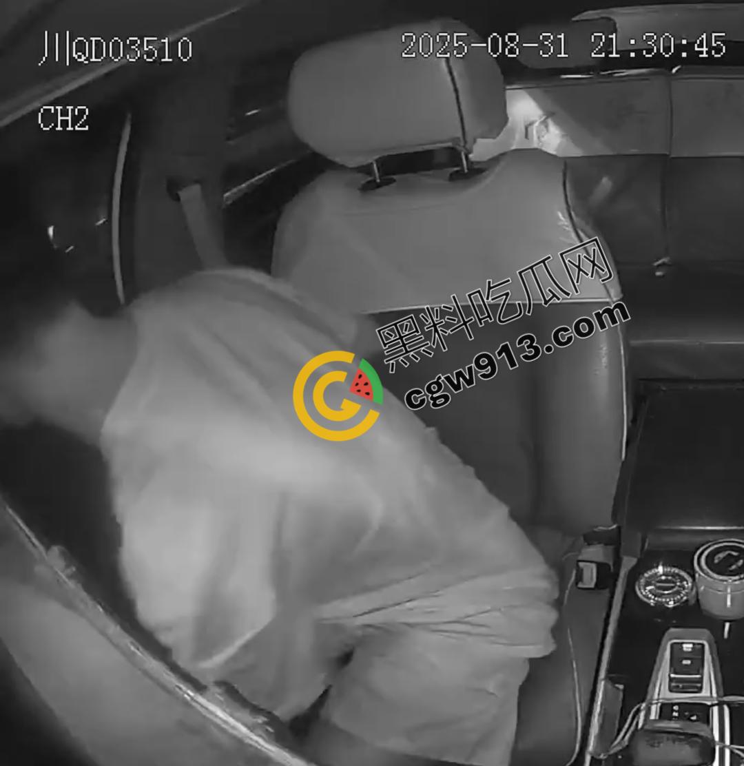 四川男子疯狂跳车险酿惨剧！网约车司机害怕惹祸赶紧录视频自保，惨烈撞脸引发全网热议-5