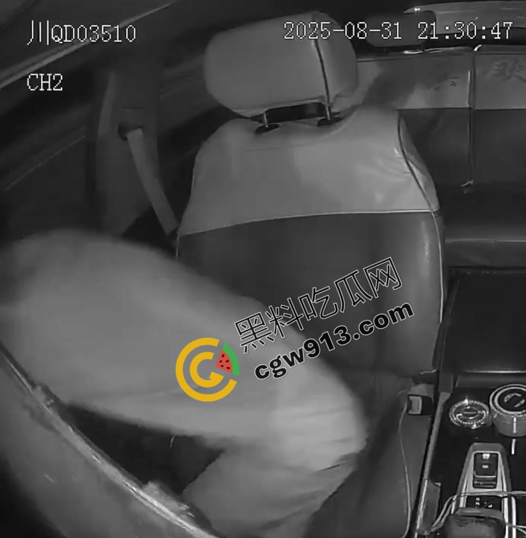 四川男子疯狂跳车险酿惨剧！网约车司机害怕惹祸赶紧录视频自保，惨烈撞脸引发全网热议-6