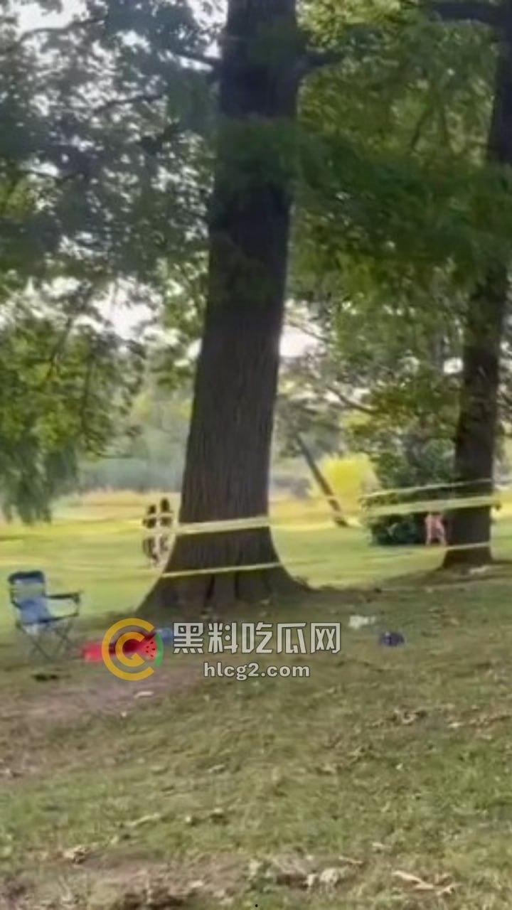 自由美利坚的凶暴现实！纽约罗切斯特市公园枪击事件，1死6伤引发社区恐慌！-7