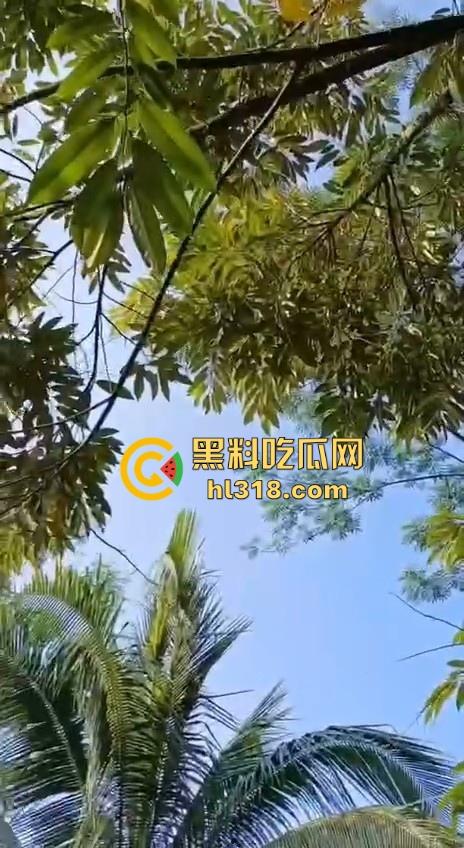 不是哥们毛毛虫也能吃的吗？这东西不是有毒！身体碰一下都全身红，你这舌头没事吧！-1