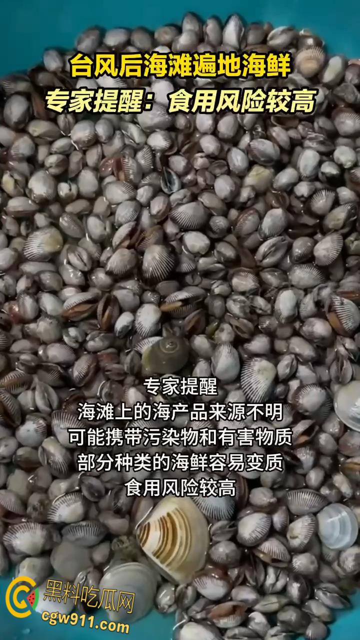 桦加沙台风卷海鲜上岸，街坊抢货如过年，海洋环境突变可能导致藻类大量繁殖，有毒勿食贪嘴小心躺板板！-2