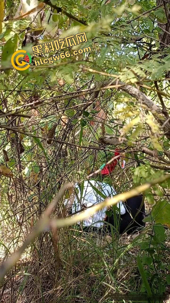 夏天的第一炮，小情侣树林野战开操果园大哥路过拍下全程，屁股抬得比桃子高，万物复苏逼也骚！-3