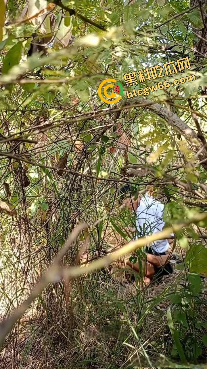 夏天的第一炮，小情侣树林野战开操果园大哥路过拍下全程，屁股抬得比桃子高，万物复苏逼也骚！-4