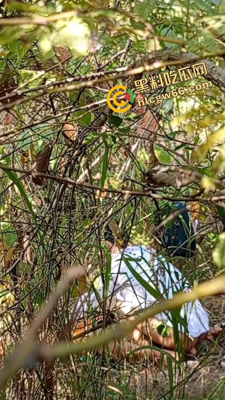 夏天的第一炮，小情侣树林野战开操果园大哥路过拍下全程，屁股抬得比桃子高，万物复苏逼也骚！-6