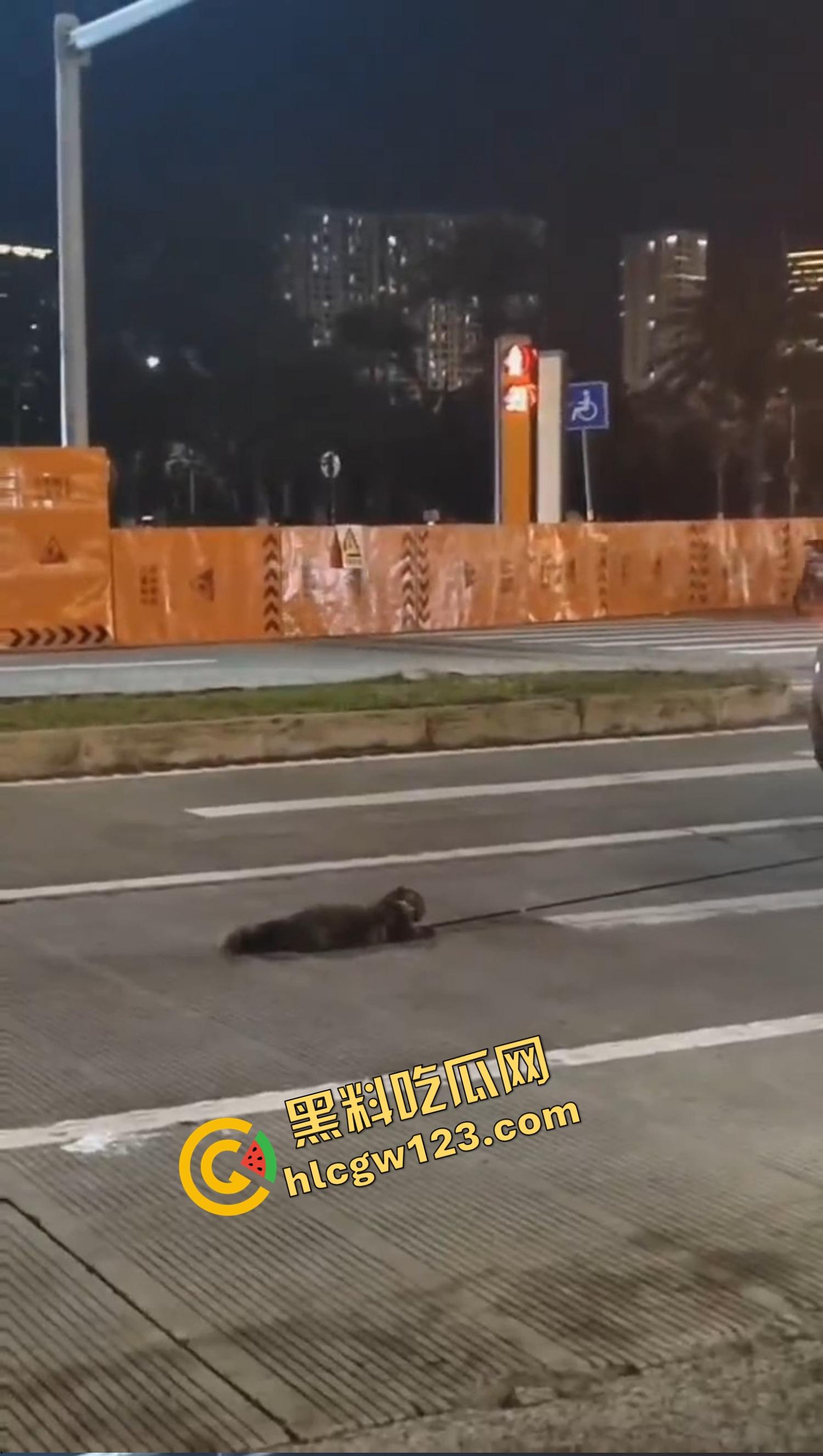 海南海口宝马车拖行小猫致死，群众当街怒吼追车，司机被围送派出所,这是碾压良知！-1