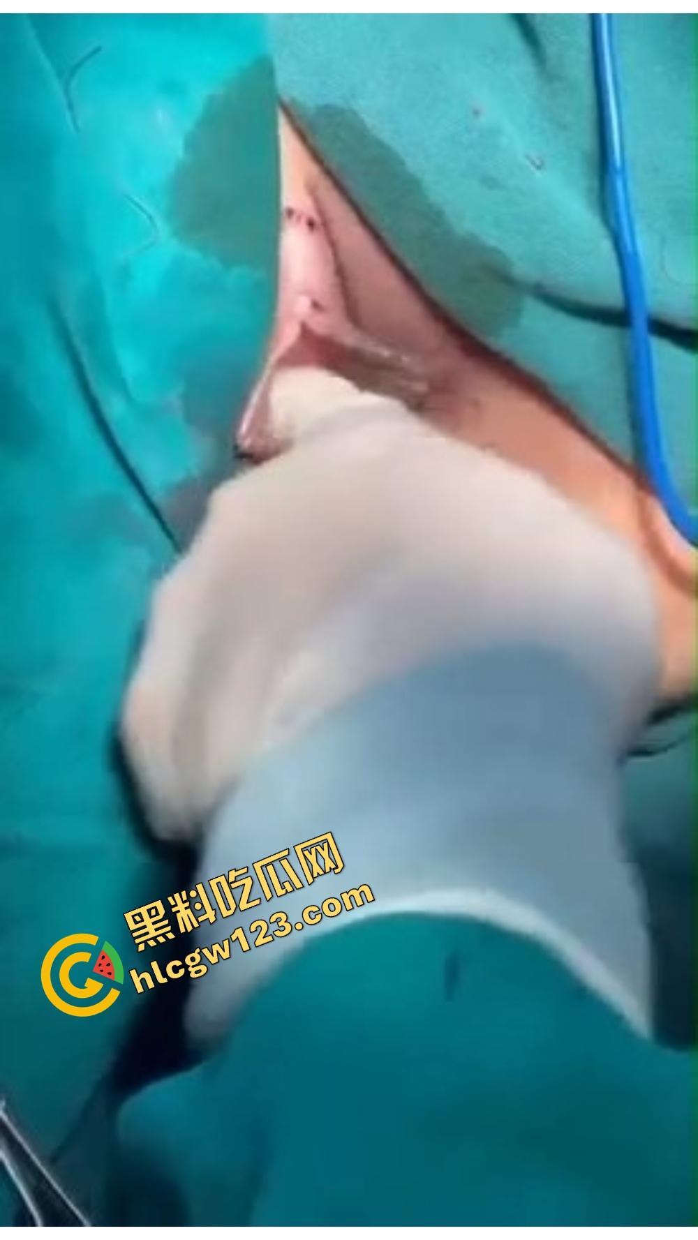 别再幻想什么天生紧致了，都是海克斯科技硬给收的，这年头的小穴，哪有天然紧的？没整过你都不配叫tight！-6