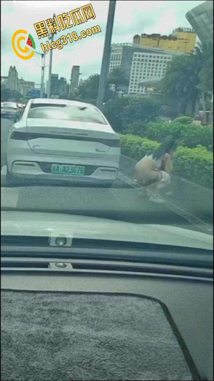 广西南宁街边桂A23678，车上女子下车蹲在马路上，脱掉连衣裙就开始拉！-7