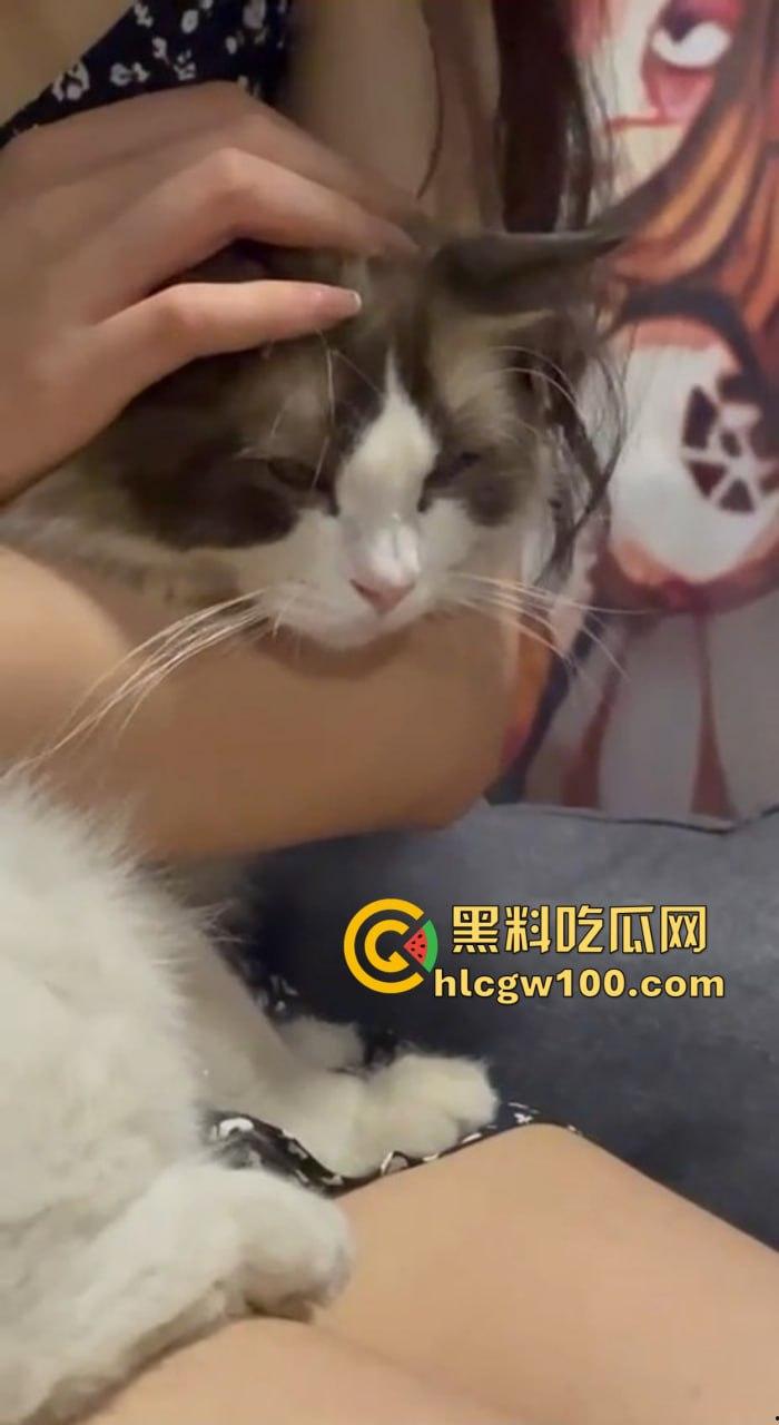 佛山猫系小姐姐【孙怡婷】被爆，瓜友送猫追到手，谈恋爱装恩爱，背后却偷偷投稿绿帽癖事，这骚操作属实玩到离谱！-8