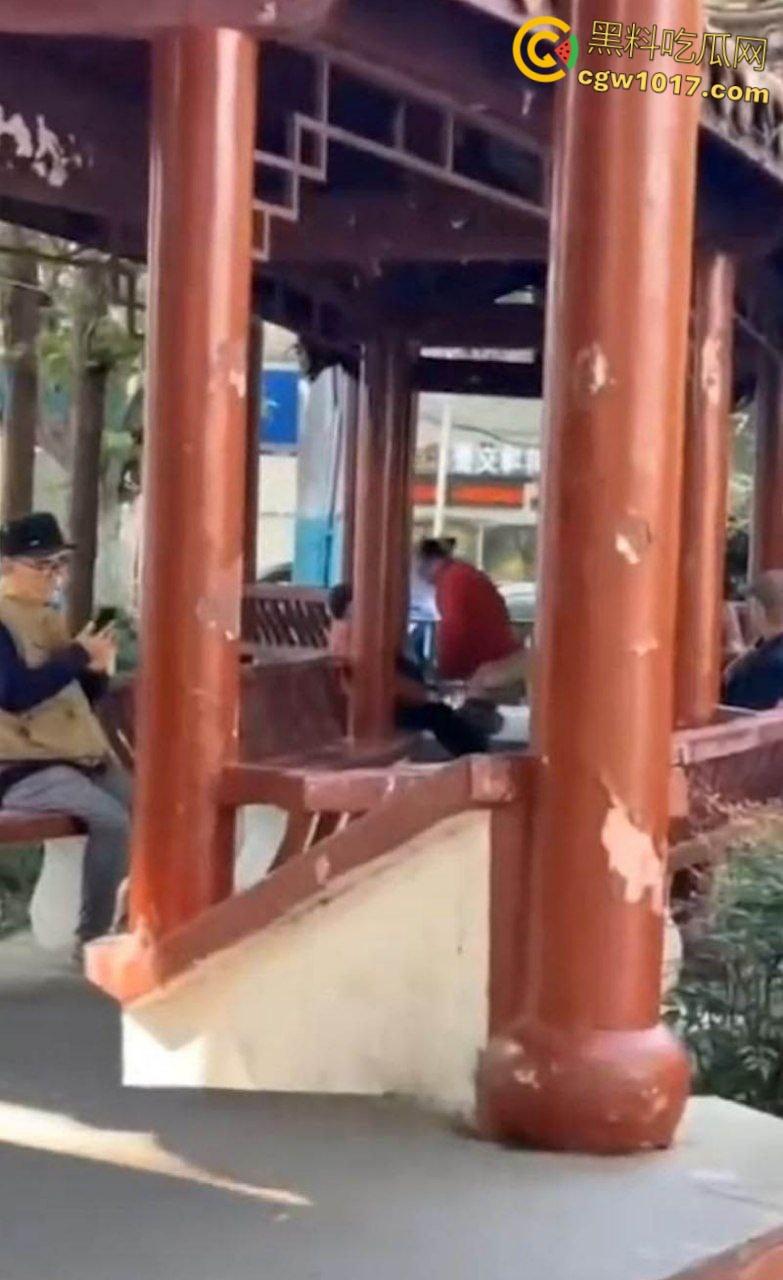 大白天凉亭活春宫，红衣大妈脱裤骑大爷，女上位啪啪响场面极其辣眼睛，大爷满脸春光，围观老头脸都红爆了 ！-6