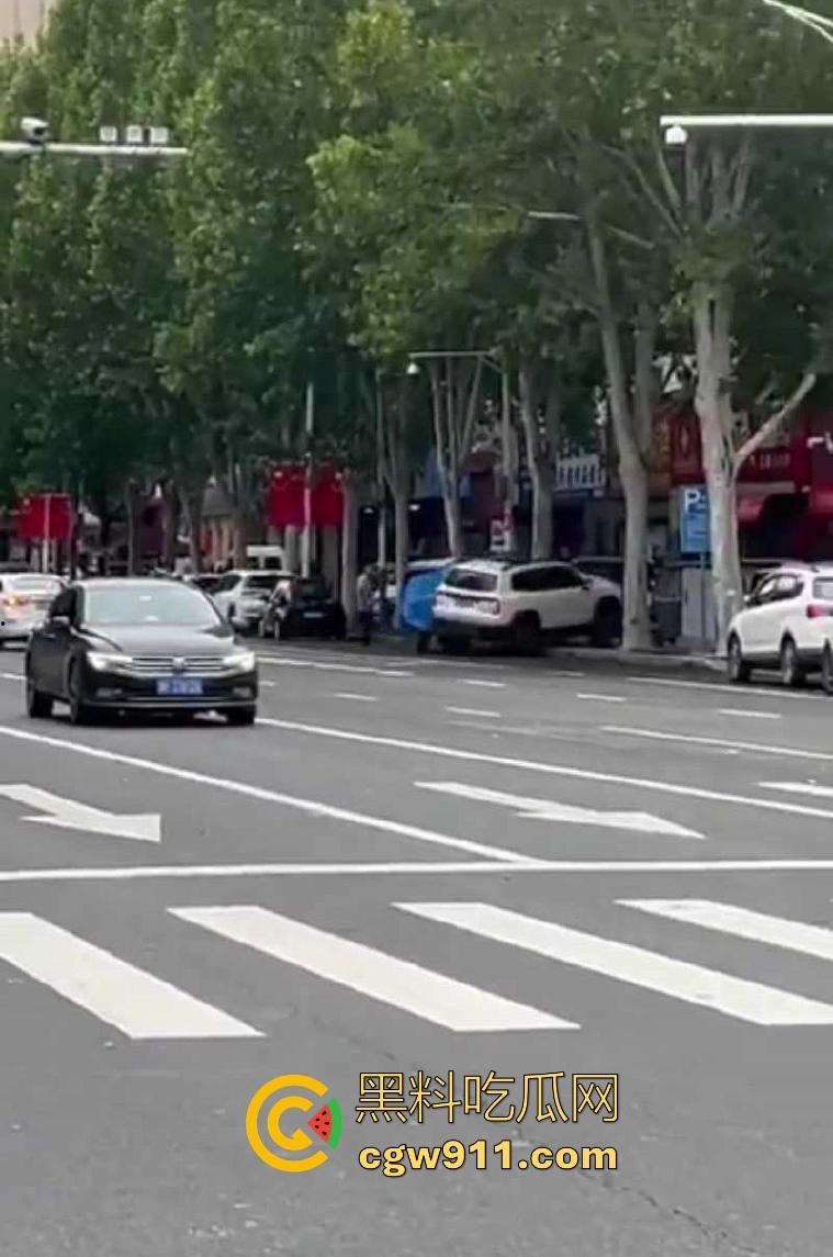 现在的人怨气实在是太重了,河南郑州凶手驾车撞伤女子,将其捅死随后当场自杀身亡,画面血腥胆小慎入!-3