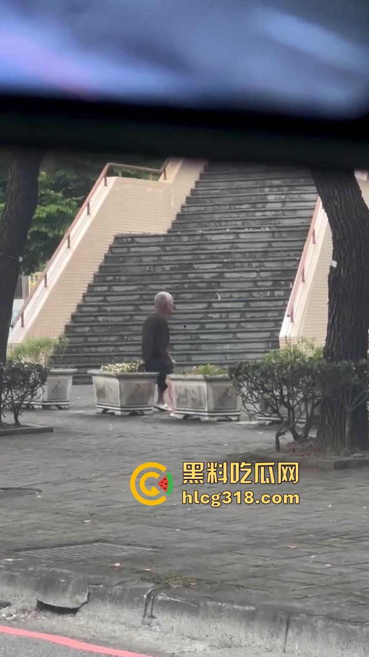 八旬老登公园门口在线打飞机，是不是看到有啥好看的啊姨啊，打得这么起劲，都快撸出火了！-3