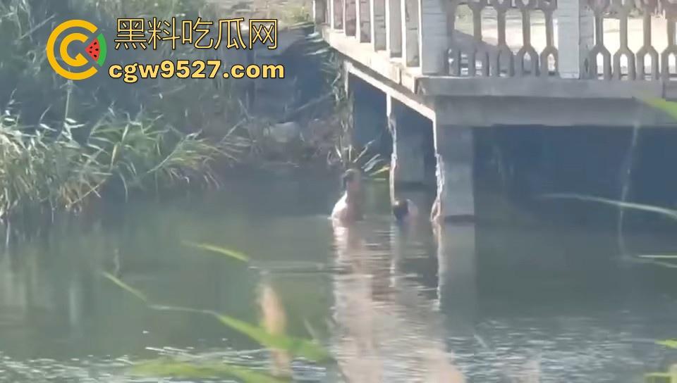 热心男子勇救落水女子,还知道从背后救,挺专业的,摇摇晃晃推到岸边,下次这种落水女子麻烦让我来救!-3