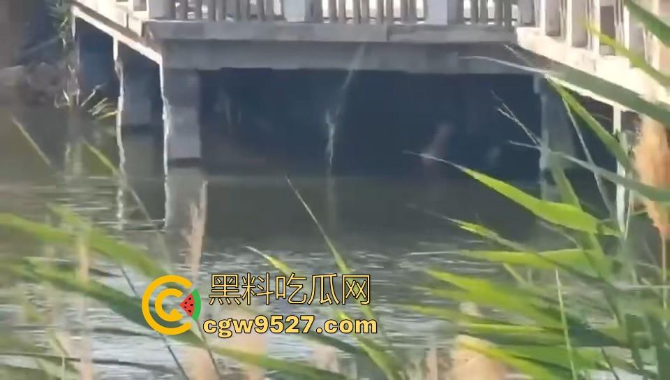 热心男子勇救落水女子,还知道从背后救,挺专业的,摇摇晃晃推到岸边,下次这种落水女子麻烦让我来救!-9