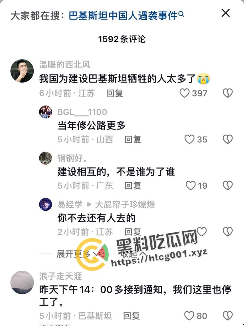 中巴友好?巴基斯坦自杀炸弹造成五名中国工程师死亡 现场画面曝光-5