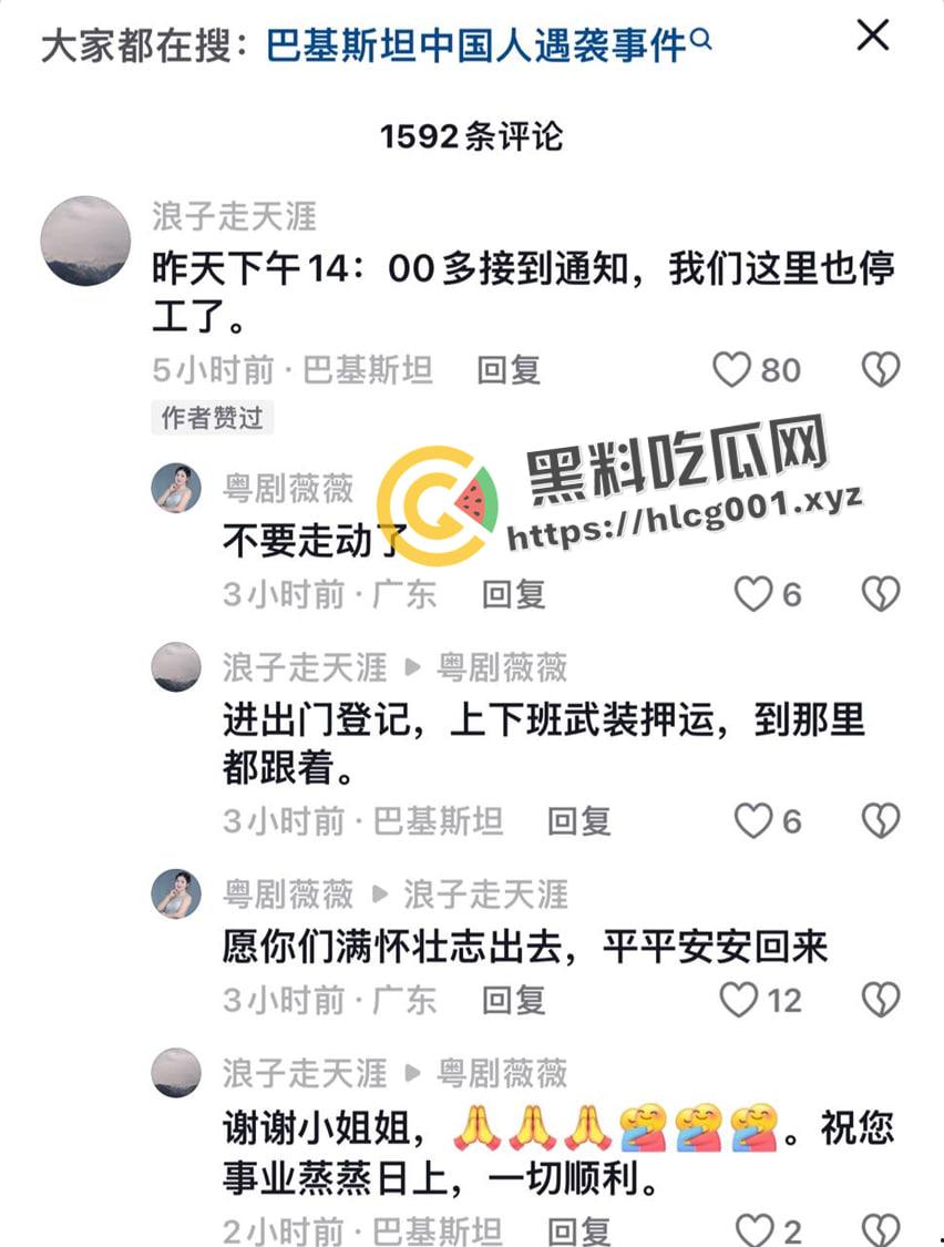 中巴友好?巴基斯坦自杀炸弹造成五名中国工程师死亡 现场画面曝光-10