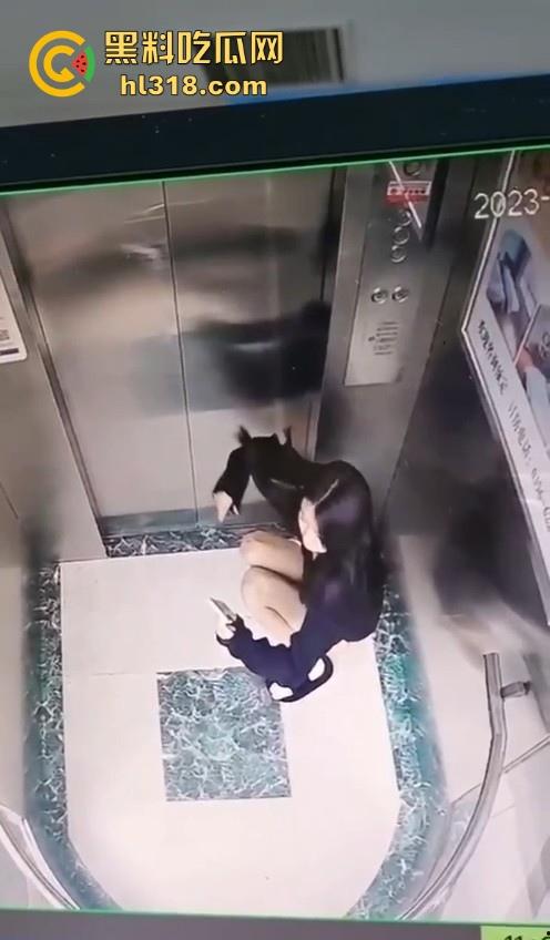 河南驻马店抖音网名【瑶.】妙龄女子当众在电梯拉屎，女子在无视监控，拉完随后淡定离开！-5