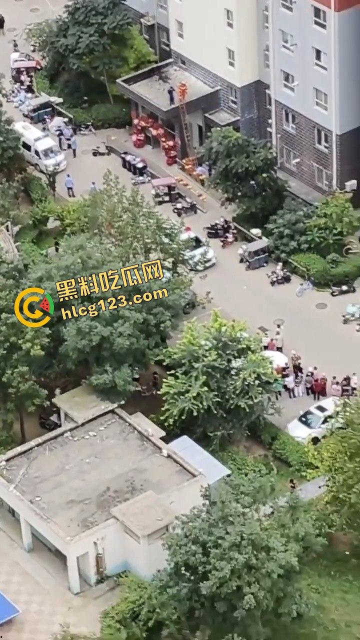 结婚当天邻居跳楼,喜事变悲剧,新人如何处理这场突如其来的困境?-7