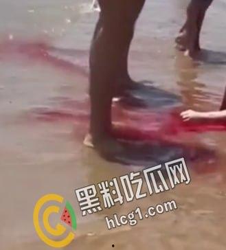 美国德克萨斯州南帕德里岛海滩，多人被鲨鱼咬伤。两男两女遭到鲨鱼袭击。政府已派出直升机将其驱赶。-4