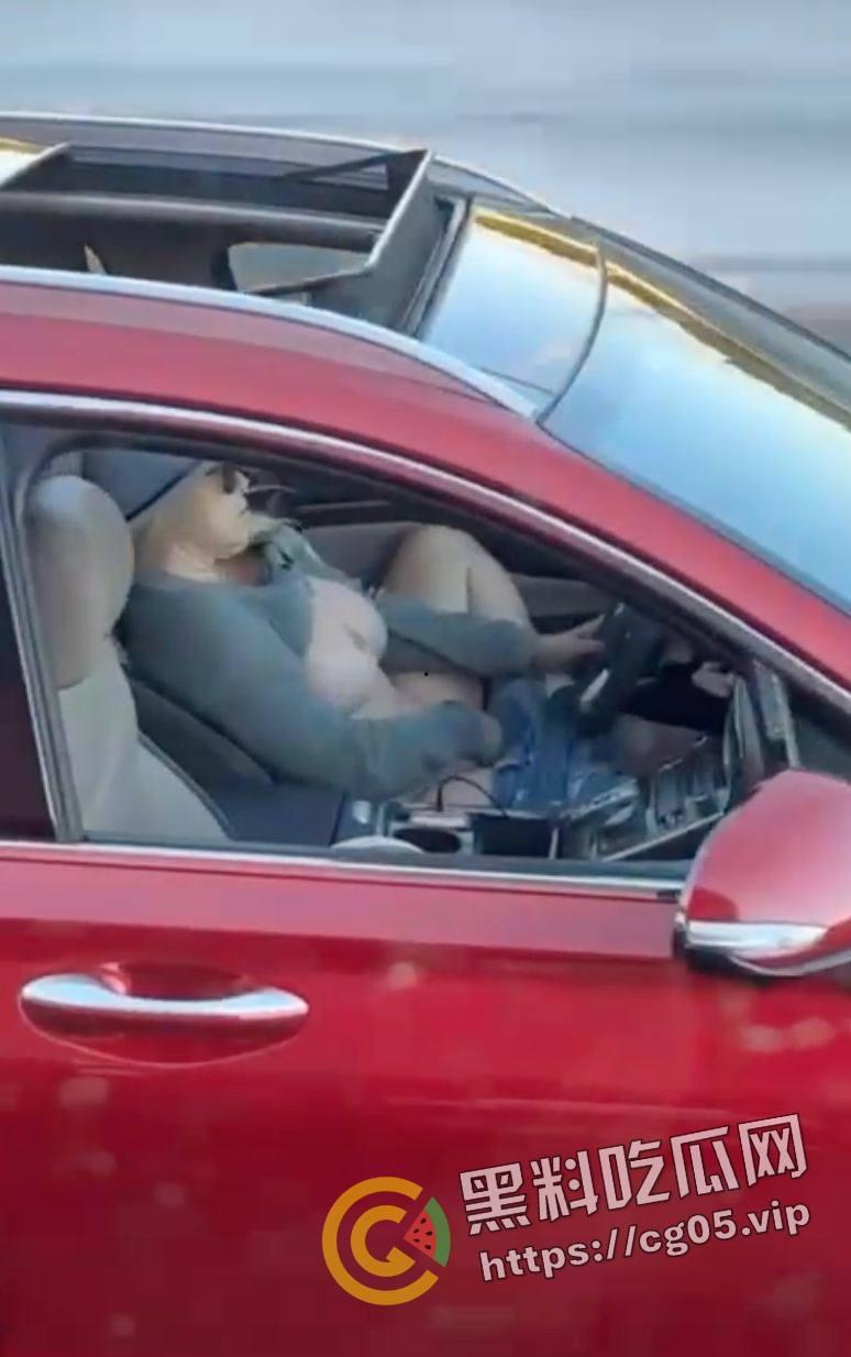 速度与激情!高速上边开车边自慰 不愧是女司机 玩的就是狠活-2