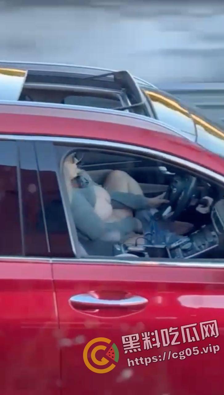 速度与激情!高速上边开车边自慰 不愧是女司机 玩的就是狠活-3