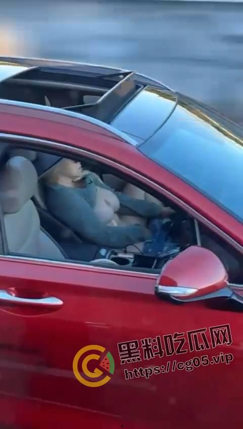 速度与激情!高速上边开车边自慰 不愧是女司机 玩的就是狠活-4