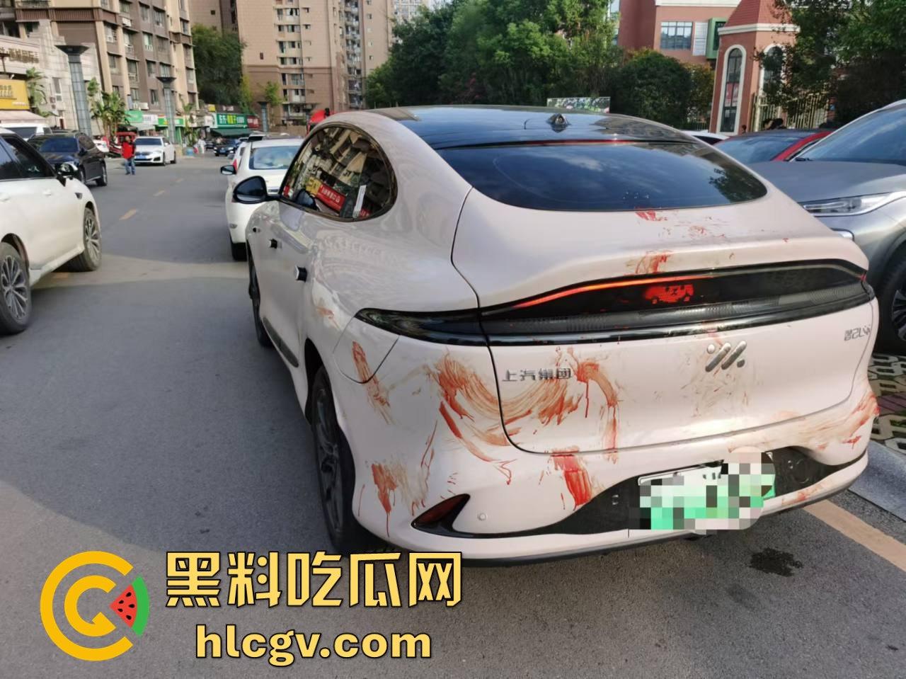 瓜友投稿提新车还得见血？智己测评见鸡血，婆婆竟找神婆做法，这年头唯物主义去哪了？-4