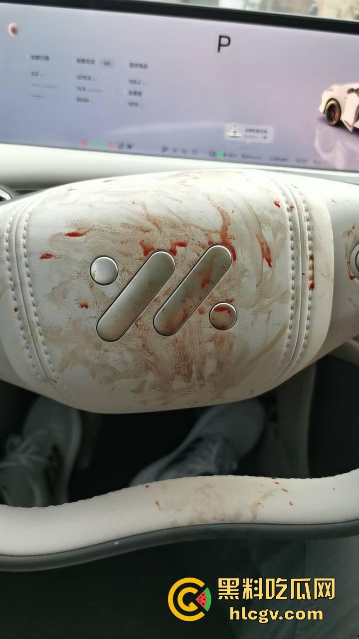 瓜友投稿提新车还得见血？智己测评见鸡血，婆婆竟找神婆做法，这年头唯物主义去哪了？-6