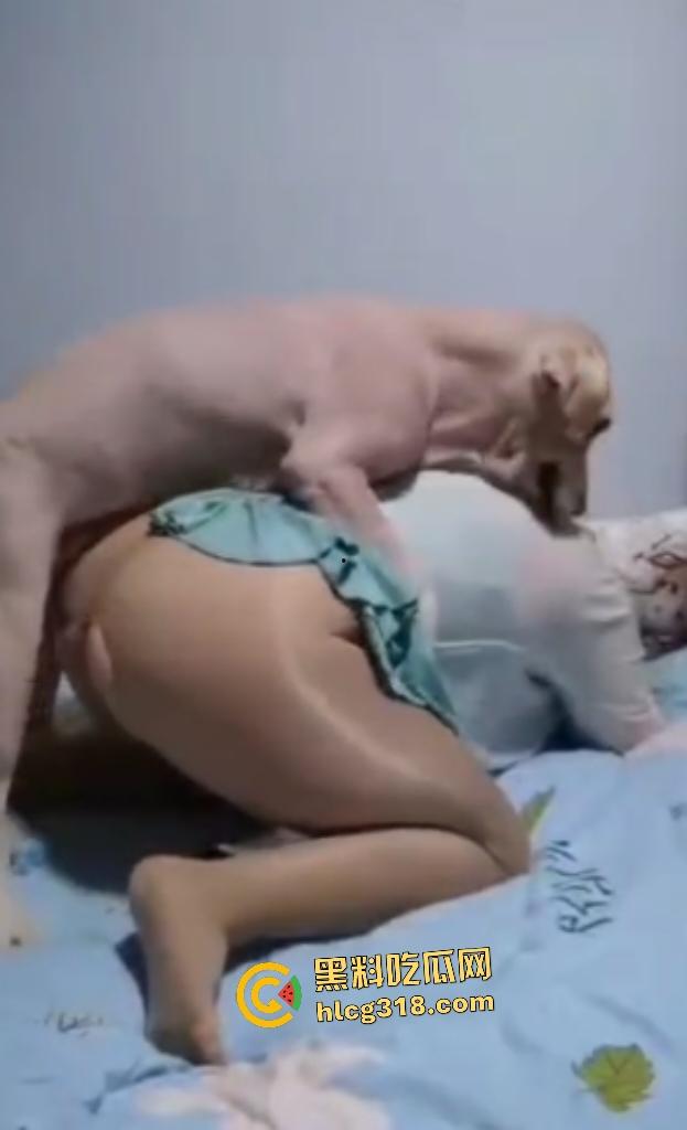 性爱伟大主题人与兽！灰丝肥臀熟女被拉布拉多猛操，不仅吃得多射的也多，射完后还清理残留精液！-5