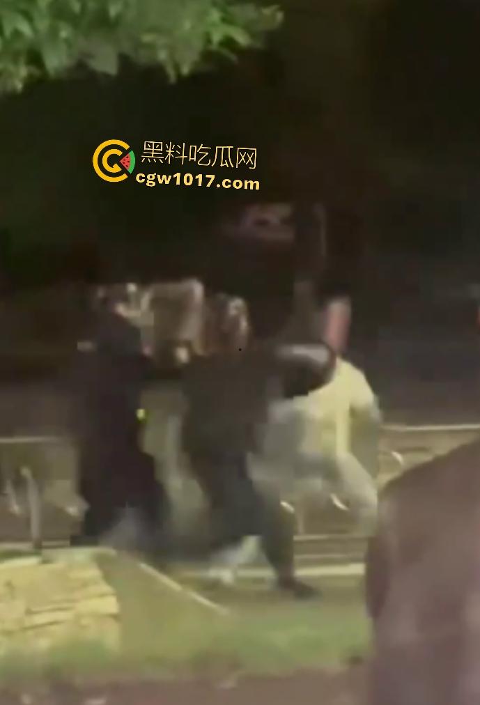 达州街头“刀皇”用菜刀袭警,小冲突变警匪大戏,警车撞击刀皇还能立马站起来,女友抱腿才能制服,太牛逼了!-3