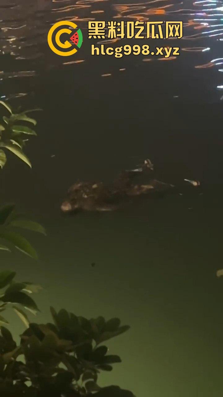 瓜友爆料!成都兰桂坊门口河里惊现浮尸,场面诡异引发热议!-8