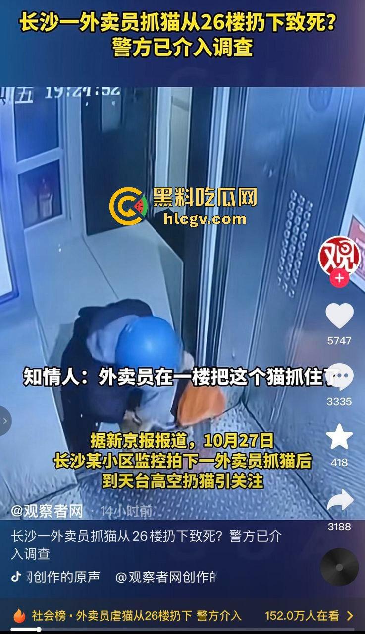 长沙外卖员丧心病狂虐猫!抓猫从26楼扔下当场摔死!-1