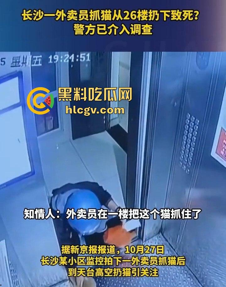 长沙外卖员丧心病狂虐猫!抓猫从26楼扔下当场摔死!-3